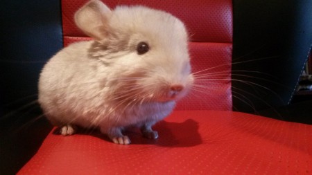 Silvana, eine blonde Dame, ist im Oktober geboren.